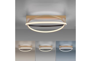 Q-Beluga Paul Neuhaus Taklampe - Belysning - Innendørsbelysning & Lamper - Taklampe - Takplafond