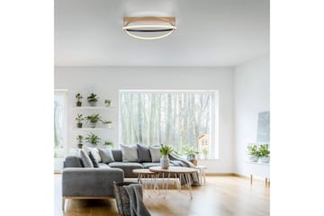 Q-Beluga Paul Neuhaus Taklampe - Belysning - Innendørsbelysning & Lamper - Taklampe - Takplafond