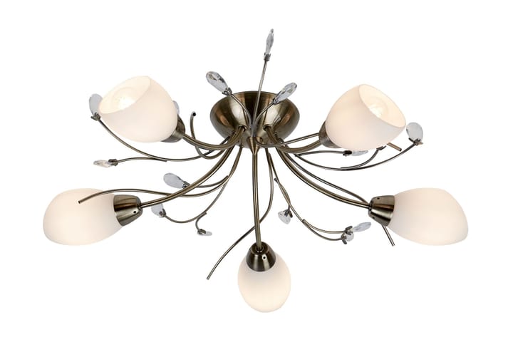 Searchlight Gardenia Plafond - Searchlight - Lamper gang - Taklampe - Takplafond - Plafond