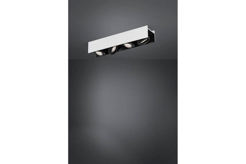 Takbelysning Eglo Vidago Hvit/Svart 4 Lamper - 4 Lamper - Belysning - Innendørsbelysning & Lamper - Taklampe - Takplafond