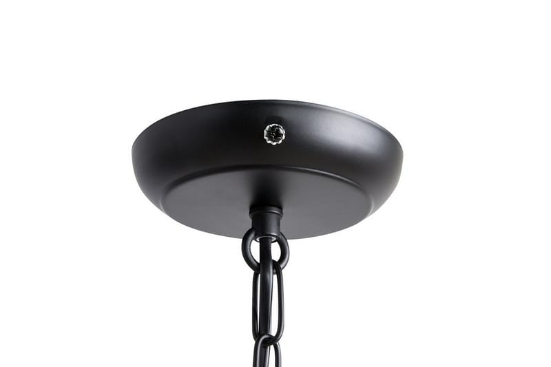 Taklampe Celon 30 cm - Svart - Taklampe soverom - Kjøkkenlampe & taklampe kjøkken - Lamper gang - Vinduslampe - Pendellamper & Hengelamper - Taklampe stue - Vinduslampe hengende - Taklampe