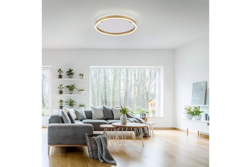 Taklampe Ritus - 39,3x5,3x39,3 cm, Messing Matt - Belysning - Innendørsbelysning & Lamper - Taklampe - Takplafond