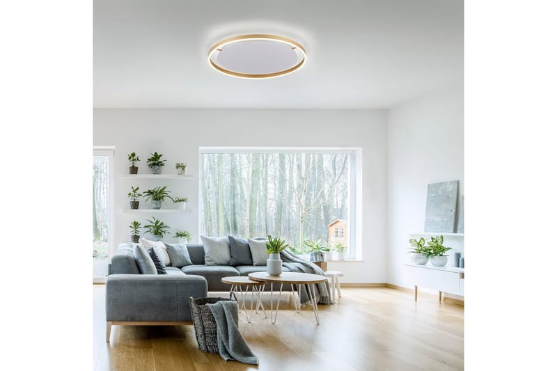 Taklampe Ritus - 58,5x5,3x58,5 cm, Messing Matt - Belysning - Innendørsbelysning & Lamper - Taklampe - Takplafond