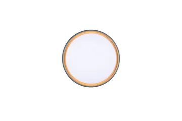 Taklampe TRIO Felis - Belysning - Innendørsbelysning & Lamper - Taklampe - Takplafond