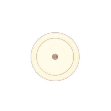 Taklampe TRIO Keaton - Varm Grå - Belysning - Innendørsbelysning & Lamper - Taklampe - Takplafond