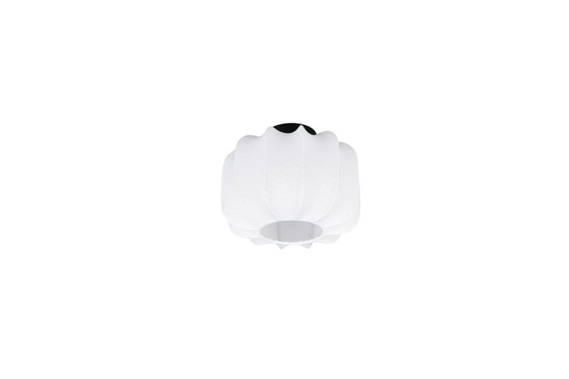 Taklampe TRIO Madeline 25 cm - 25 cm - Belysning - Innendørsbelysning & Lamper - Taklampe - Takplafond