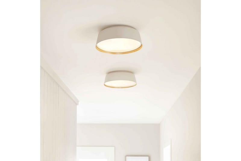 Takmontering Feiss Asher Matt hvit og gull - Matt hvit og gull - Belysning - Innendørsbelysning & Lamper - Taklampe - Takplafond