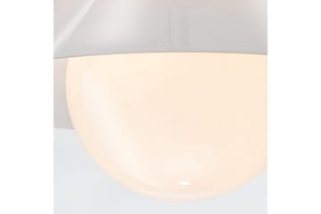 Tallerken Quintiesse Taklampe - Belysning - Innendørsbelysning & Lamper - Taklampe - Takplafond