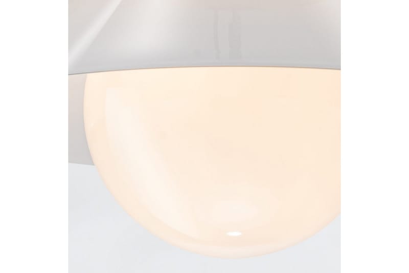 Tallerken Quintiesse Taklampe - Belysning - Innendørsbelysning & Lamper - Taklampe - Takplafond