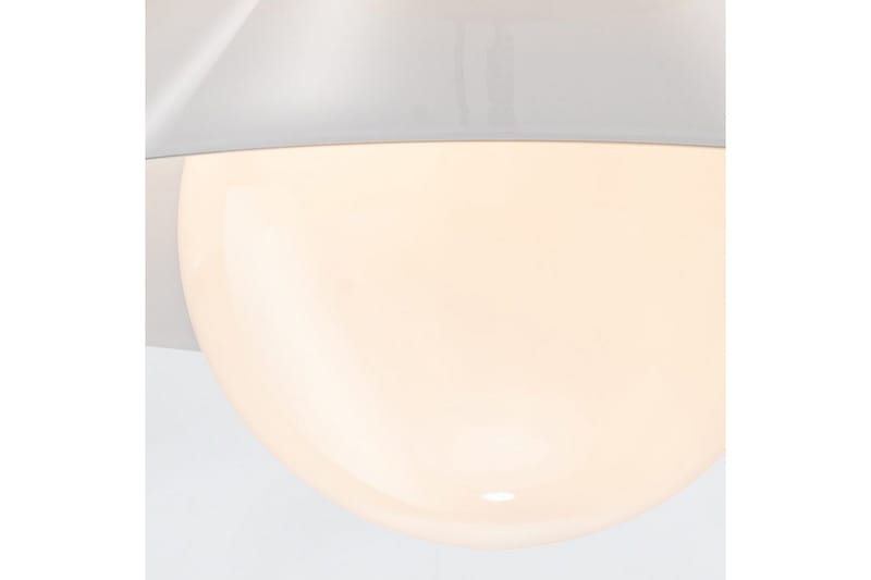 Tallerken Quintiesse Taklampe - Belysning - Innendørsbelysning & Lamper - Taklampe - Takplafond