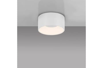 Tanika Just Light Taklampe - Belysning - Innendørsbelysning & Lamper - Taklampe - Takplafond