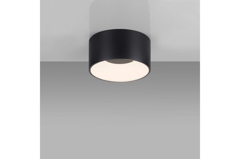 Tanika Just Light Taklampe - Belysning - Innendørsbelysning & Lamper - Taklampe - Takplafond