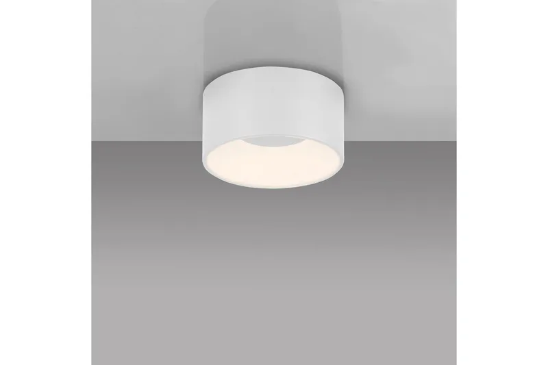 Tanika Just Light Taklampe - Belysning - Innendørsbelysning & Lamper - Taklampe - Takplafond