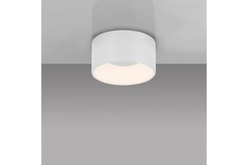 Tanika Just Light Taklampe - Belysning - Innendørsbelysning & Lamper - Taklampe - Takplafond