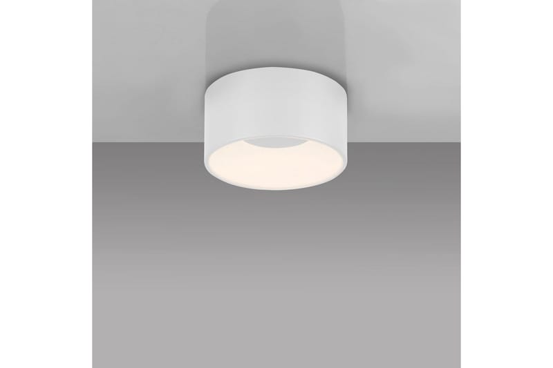 Tanika Just Light Taklampe - Belysning - Innendørsbelysning & Lamper - Taklampe - Takplafond