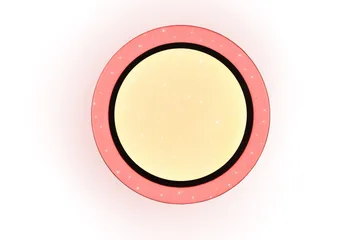 Trio Lighting Cartida LED plafond hvit stjernelys RGB - Belysning - Innendørsbelysning & Lamper - Taklampe - Takplafond