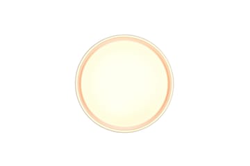 Trio Lighting Felis LED Plafond 40 cm Matt Hvit - Belysning - Innendørsbelysning & Lamper - Taklampe - Takplafond