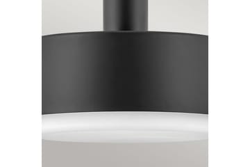 Cedric Hinkley Taklampe - Belysning - Innendørsbelysning & Lamper - Vinduslampe