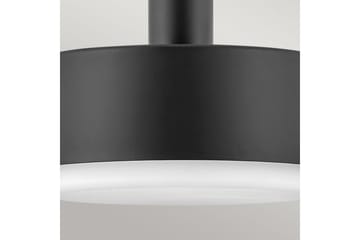 Cedric Hinkley Taklampe - Belysning - Innendørsbelysning & Lamper - Vinduslampe