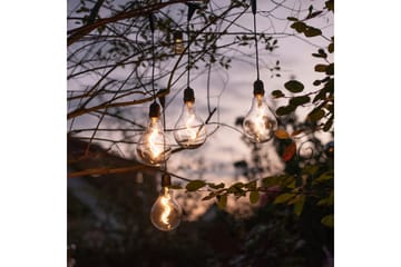 Enni Just Light Taklampe - Belysning - Innendørsbelysning & Lamper - Vinduslampe