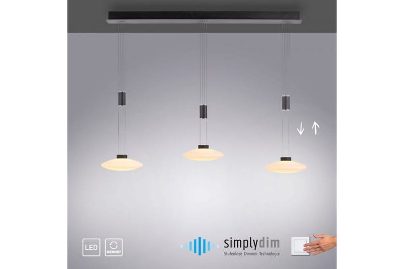 Lautada Paul Neuhaus Taklampe - Belysning - Innendørsbelysning & Lamper - Vinduslampe