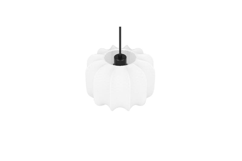 Pendel TRIO Madeline 25 cm - 25 cm - Belysning - Innendørsbelysning & Lamper - Vinduslampe