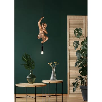 Pendellampe TRIO Fips - Gull - Belysning - Innendørsbelysning & Lamper - Vinduslampe