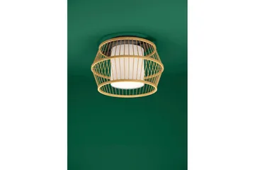 Takbelysning Eglo Monterroso Natur - Belysning - Innendørsbelysning & Lamper - Vinduslampe