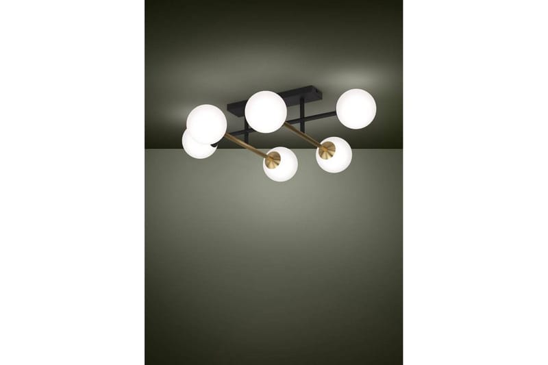 Takbelysning Eglo Paz Opalhvit/Svart Messing med 6 Lamper - Belysning - Innendørsbelysning & Lamper - Vinduslampe