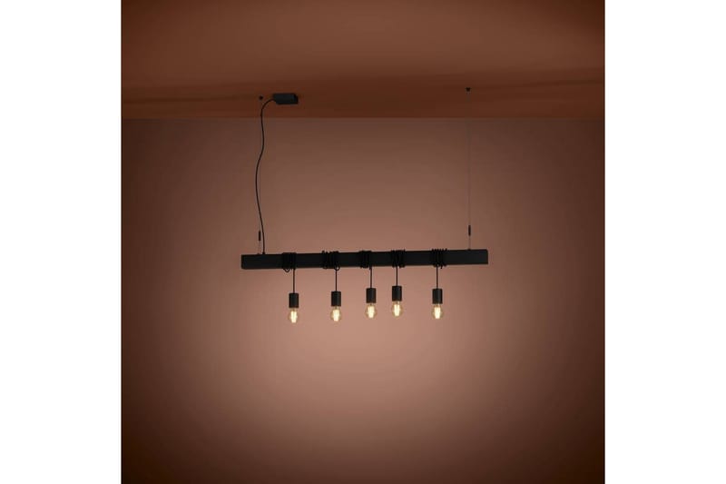 Takpendel Eglo Townshend-B Svart 5 lamper - 5 lamper - Belysning - Innendørsbelysning & Lamper - Vinduslampe