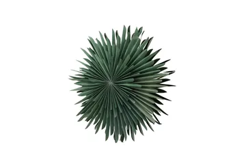 Sälen Adventsstjerne / Julelampe 60 cm - Grønn - Belysning - Julebelysning - Adventsstjerne