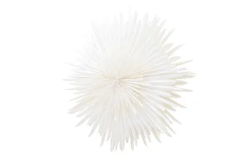 Sälen Adventsstjerne / Julelampe 100 cm - Hvid - Belysning - Julebelysning - Adventsstjerne