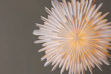 Sälen Adventsstjerne / Julelampe 60 cm - Hvid - Belysning - Julebelysning - Adventsstjerne