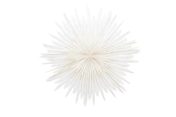 Sälen Adventsstjerne / Julelampe 100 cm - Hvid - Belysning - Julebelysning - Adventsstjerne