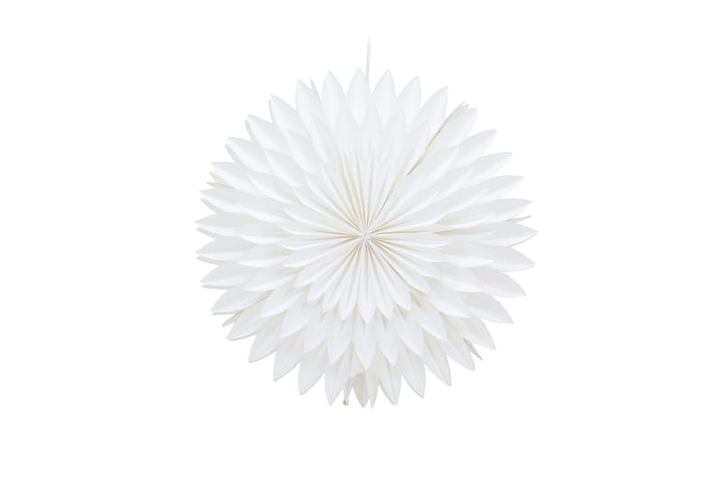 Storlien Adventsstjerne, Hvit