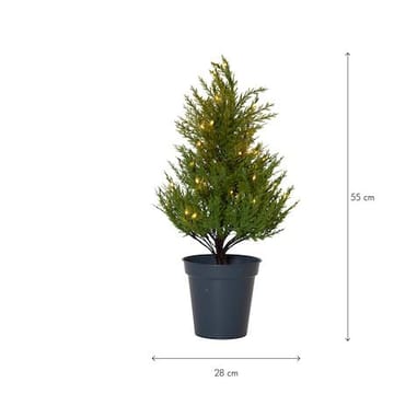 Thuja dekorasjonstre 55 cm - grønn - Belysning - Julebelysning - Julelys