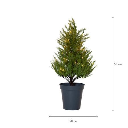 Thuja dekorasjonstre 55 cm - grønn - Belysning - Julebelysning - Julelys