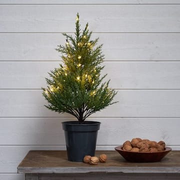 Thuja dekorasjonstre 55 cm - grønn - Belysning - Julebelysning - Julelys