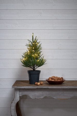 Thuja dekorasjonstre 55 cm - grønn - Belysning - Julebelysning - Julelys
