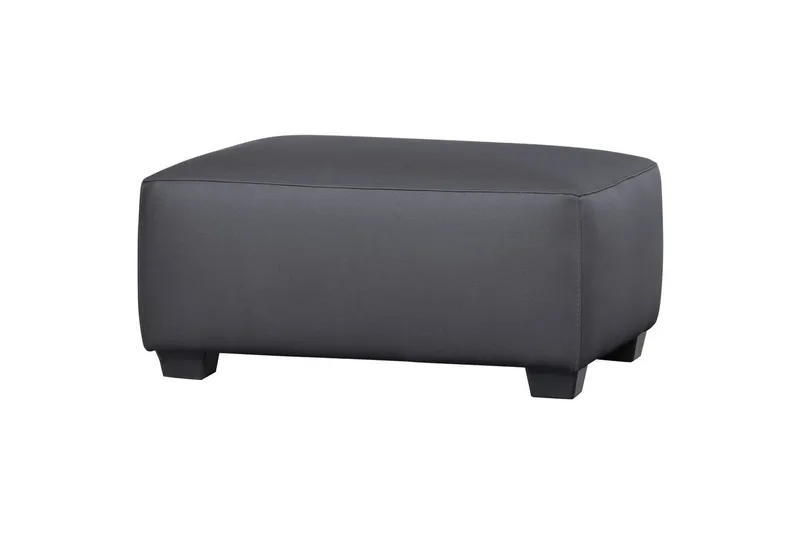 Hagekrakk Hollandia, Grå