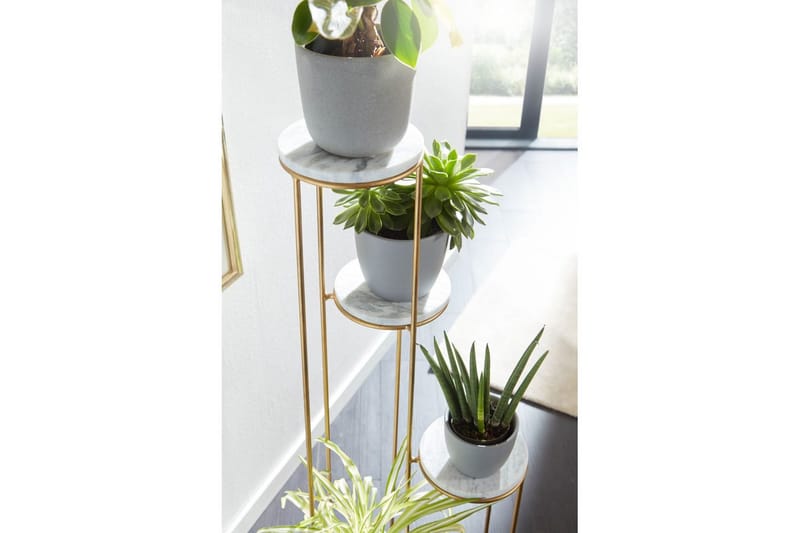 Stående hylle Wohnling Ekte marmortopp, blomsterstativ, gyllen metallbase, moderne stil - Hagemøbler & utemiljø - Balkong & terrasse - Balkongdyrking