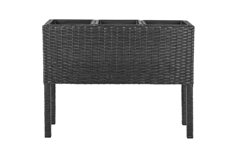 Inomhuskruka Beliani Caragana Brun Black