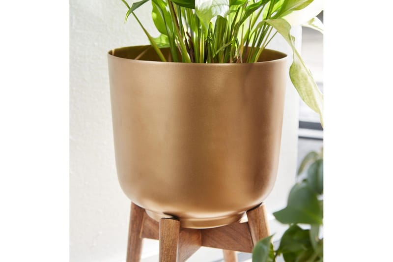 Krukväxter Wohnling Guld, Brun - Hagemøbler & utemiljø - Balkong & terrasse - Balkongdyrking