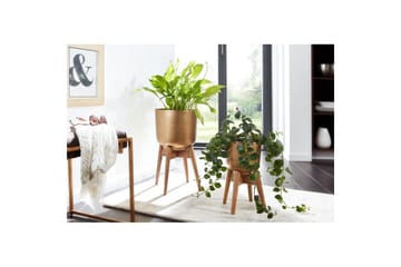 Krukväxter Wohnling Guld, Brun - Hagemøbler & utemiljø - Balkong & terrasse - Balkongdyrking