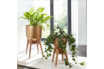 Krukväxter Wohnling Guld, Brun - Hagemøbler & utemiljø - Balkong & terrasse - Balkongdyrking