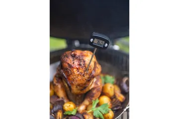 Digitalt mattermometer Mustang for Grill - Svart - Hagemøbler & utemiljø - Grill & utekjøkken - Grilltilbehør - Grilltermometer