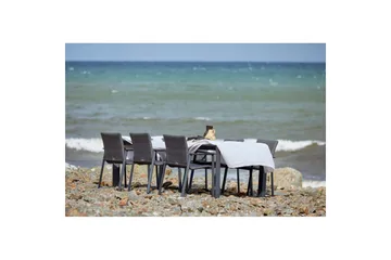 Bord Hillerstorp Borgdala 220/340 x 107 x H75,5 cm Grå - Hagemøbler & utemiljø - Hagebord - Spisebord ute