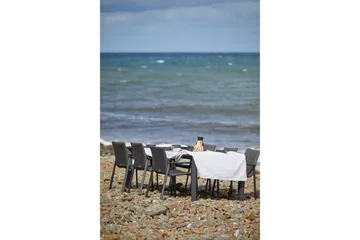 Bord Hillerstorp Borgdala 220/340 x 107 x H75,5 cm Grå - Hagemøbler & utemiljø - Hagebord - Spisebord ute