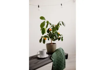 Hillerstorp EcoFurn utebord Granny furu oljet svart - Svart - Hagemøbler & utemiljø - Hagebord - Sidebord utendørs