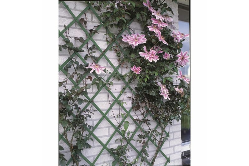 Nature Hageespalier 100x200 cm 6040704 - Espalier Nature Hageespalier 100x200 cm 6040704 - Espalier